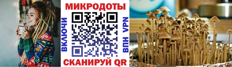 Галлюциногенные грибы ЛСД  цена наркотик  Южа 
